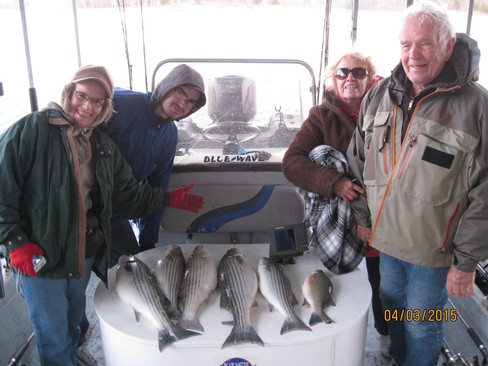 Nice Striped Bass
